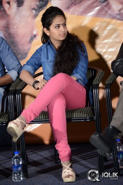 Uyyala-Jampala-Movie-Press-Meet-